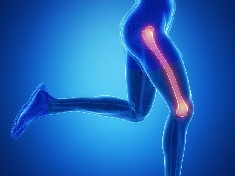 Ultrassom Parte Posterior do Fêmur